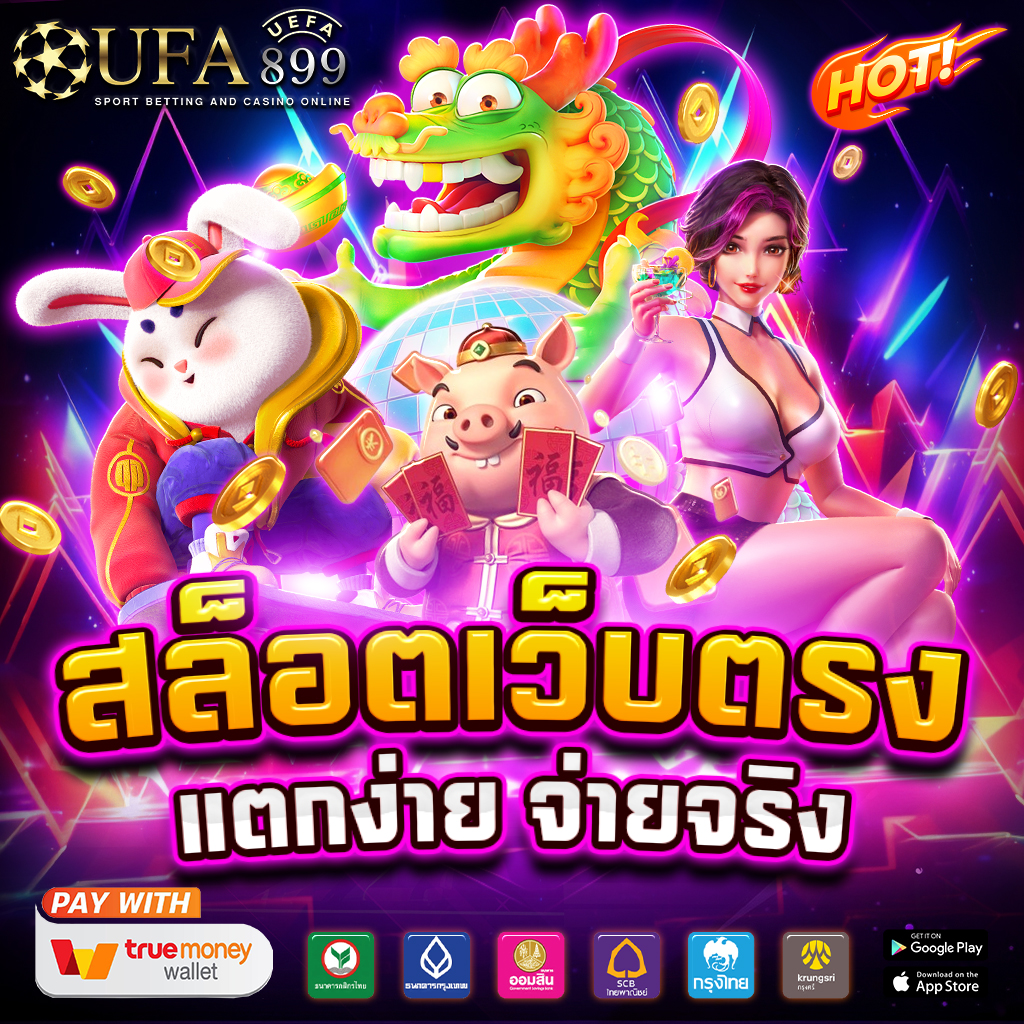 ไม่พบรูปภาพ