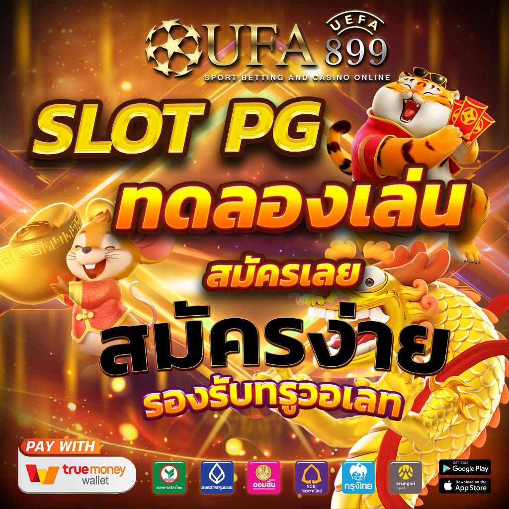 ไม่พบรูปภาพ