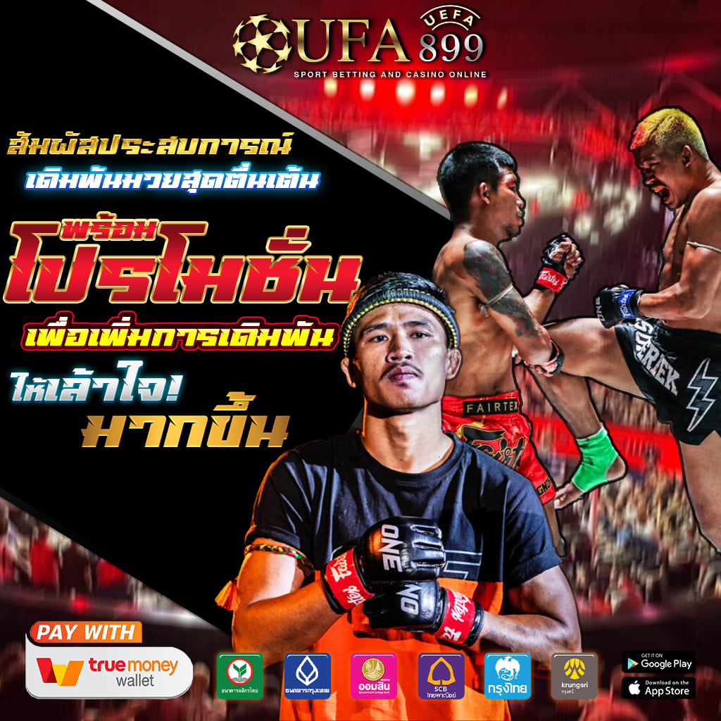 ไม่พบรูปภาพ