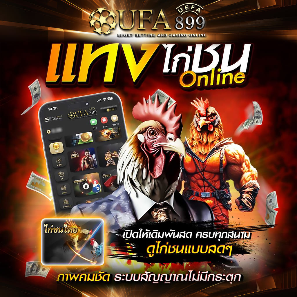 ไม่พบรูปภาพ