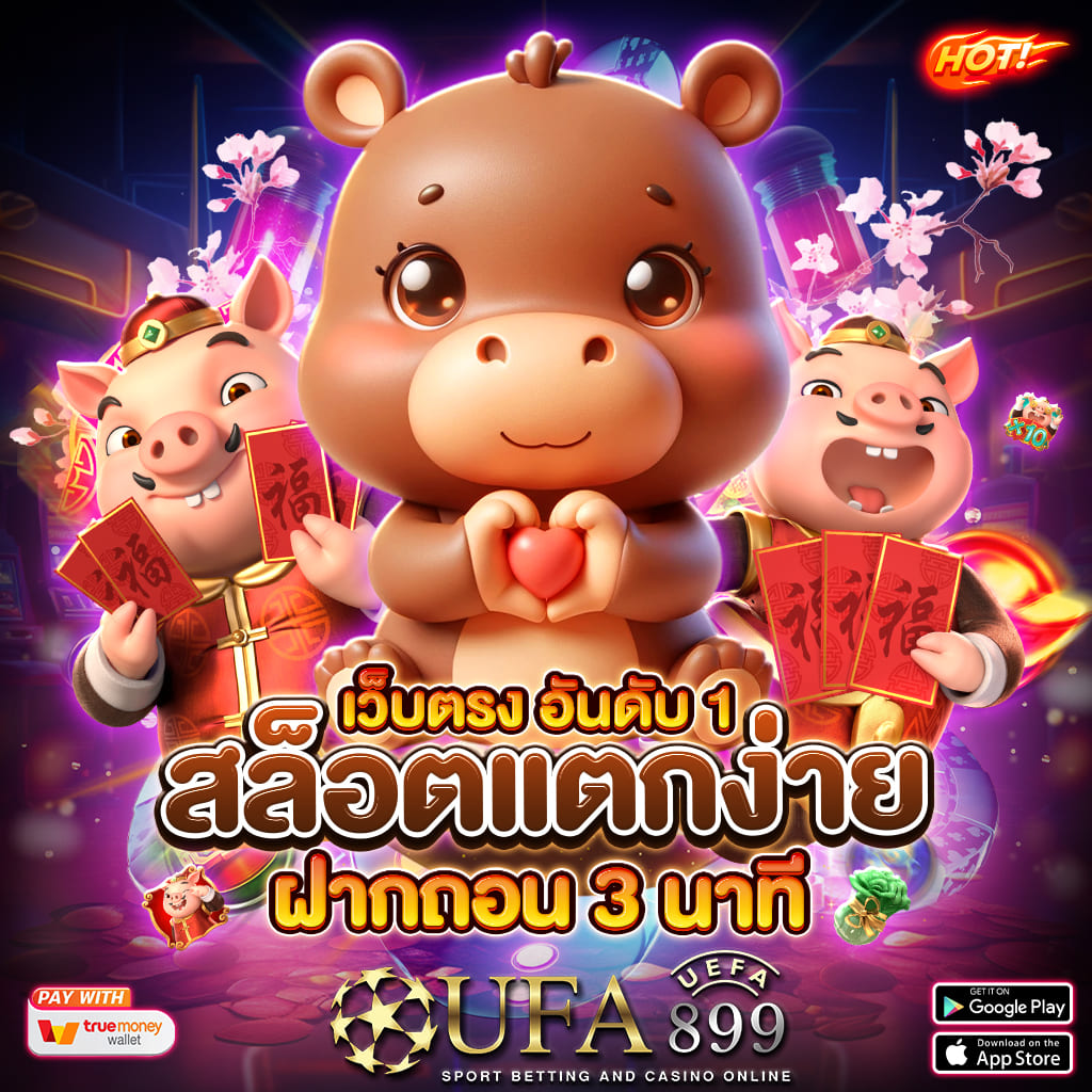 ไม่พบรูปภาพ